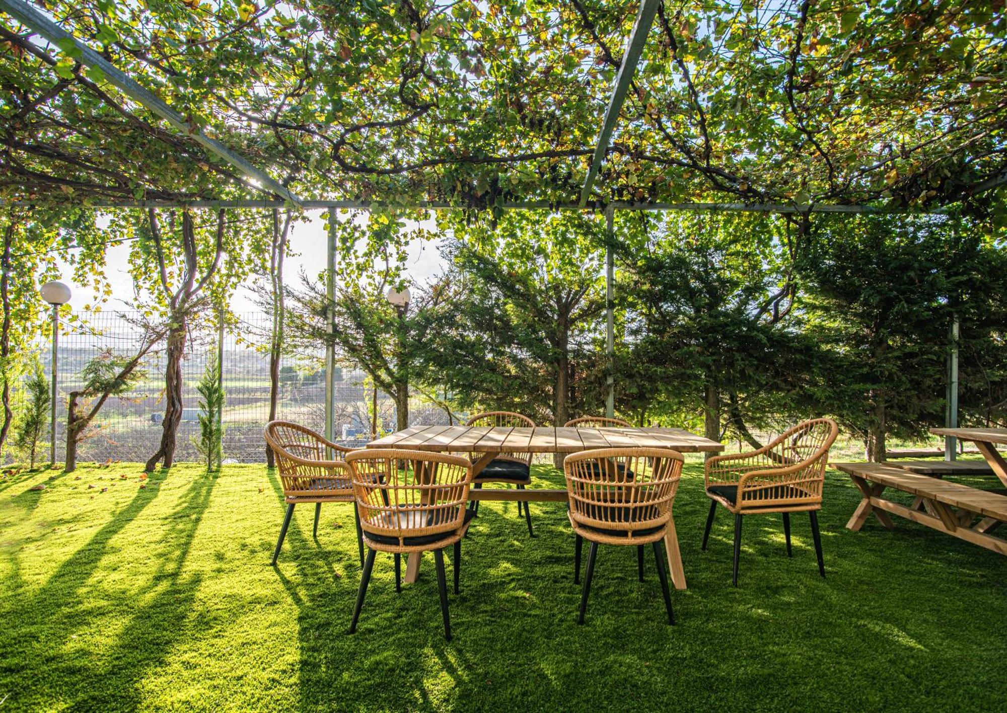 Iviskos Apartment Oinofyta Exteriér fotografie